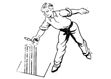 উইকেটের পতন