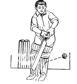 বাই ও লেগ বাই