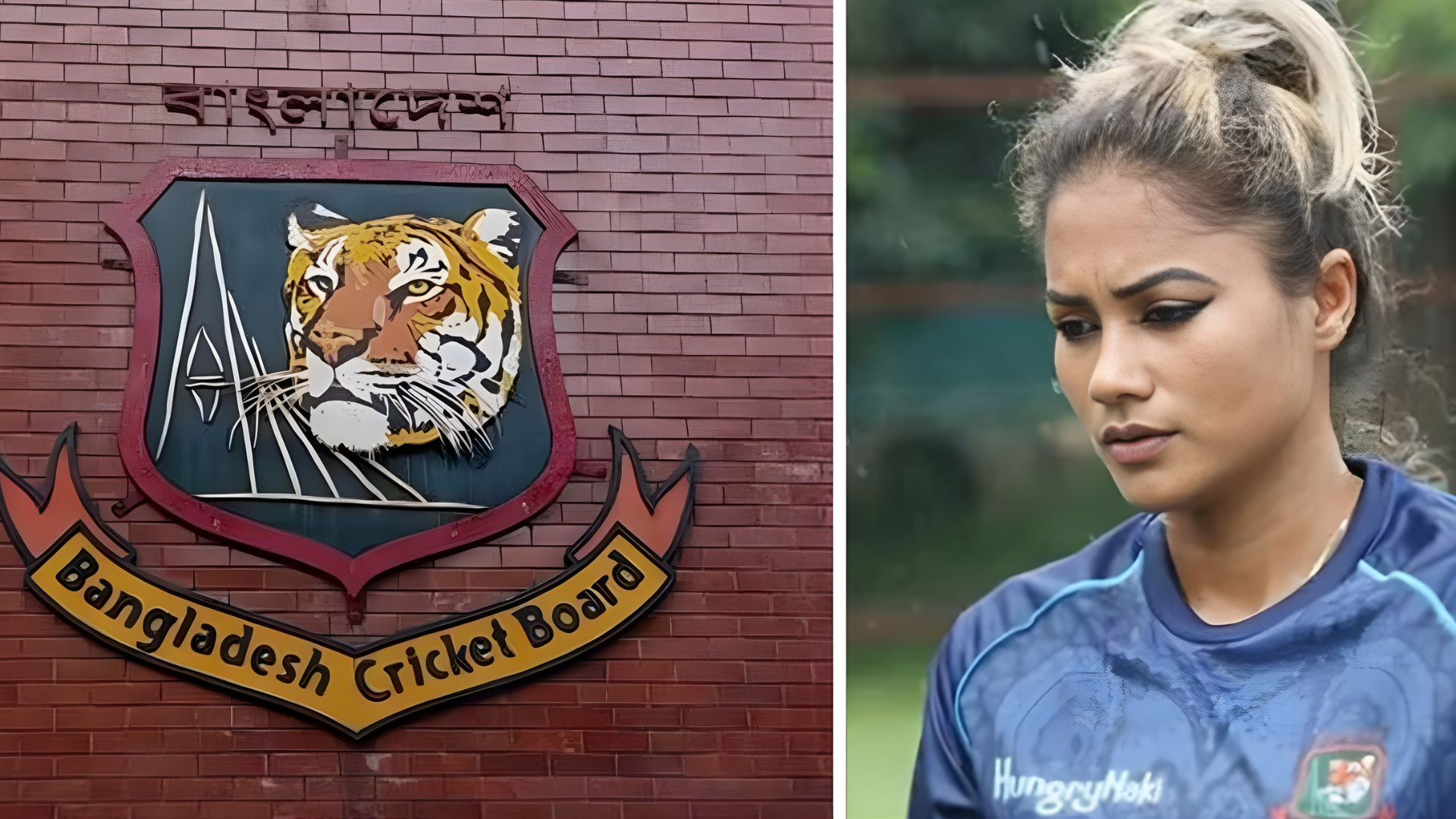 স্টোকস হ্যাজ বিনস এর সমালোচনা থেকে ইংল্যান্ডকে রক্ষা করেছেন 3 ক্রিকেট গুরুকুল, GOLN